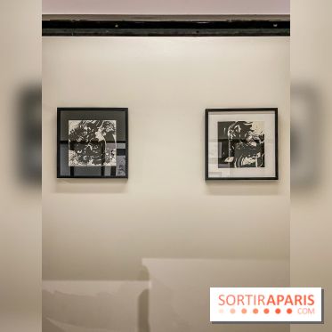 Exposition Sumi et Motion de la calligraphe japonaise Aya Wada à la galerie La Lison - IMG 4934