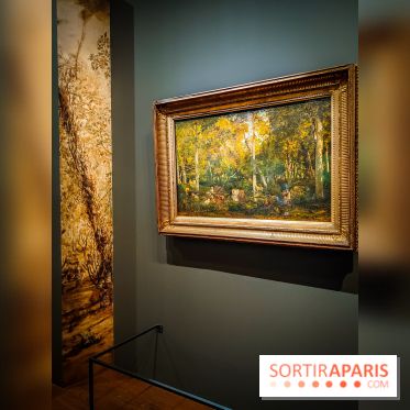 La voix de la forêt : l'exposition qui nous reconnecte avec la nature au Petit Palais - photos - IMG20240304100810