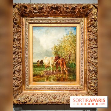 La voix de la forêt : l'exposition qui nous reconnecte avec la nature au Petit Palais - photos - IMG20240304101400