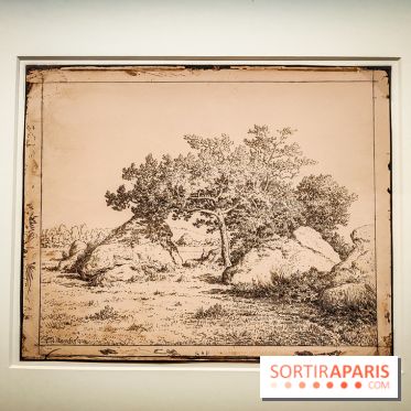 La voix de la forêt : l'exposition qui nous reconnecte avec la nature au Petit Palais - photos