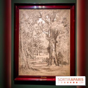 La voix de la forêt : l'exposition qui nous reconnecte avec la nature au Petit Palais - photos - IMG20240304100942