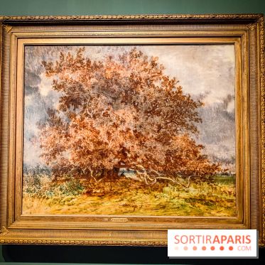 La voix de la forêt : l'exposition qui nous reconnecte avec la nature au Petit Palais - photos