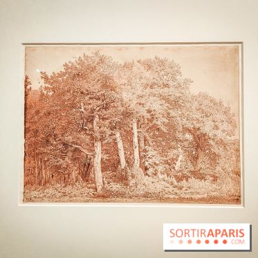 La voix de la forêt : l'exposition qui nous reconnecte avec la nature au Petit Palais - photos - IMG20240304101014