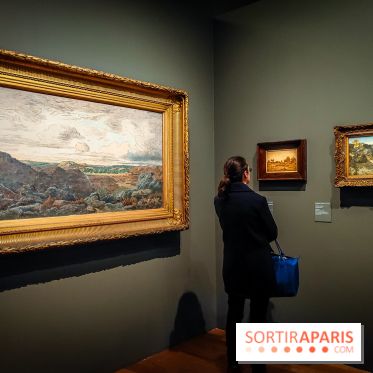 La voix de la forêt : l'exposition qui nous reconnecte avec la nature au Petit Palais - photos - IMG20240304101241