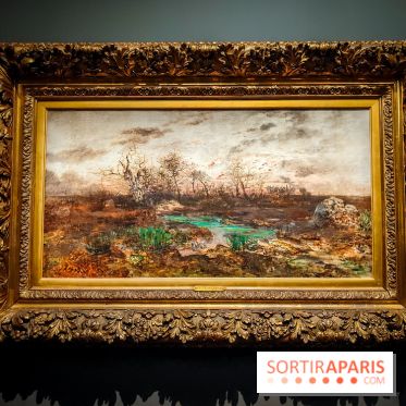 La voix de la forêt : l'exposition qui nous reconnecte avec la nature au Petit Palais - photos - IMG20240304100840