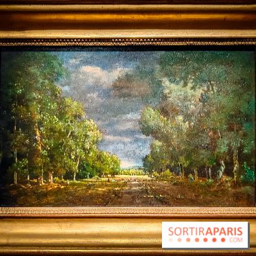 La voix de la forêt : l'exposition qui nous reconnecte avec la nature au Petit Palais - photos - IMG20240304101143