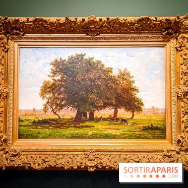 La voix de la forêt : l'exposition qui nous reconnecte avec la nature au Petit Palais - photos - IMG20240304101005