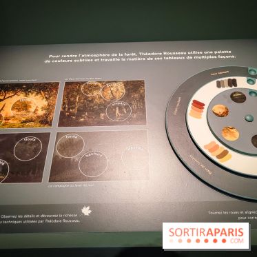 La voix de la forêt : l'exposition qui nous reconnecte avec la nature au Petit Palais - photos - IMG20240304101321