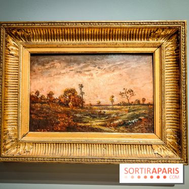 La voix de la forêt : l'exposition qui nous reconnecte avec la nature au Petit Palais - photos - IMG20240304100155