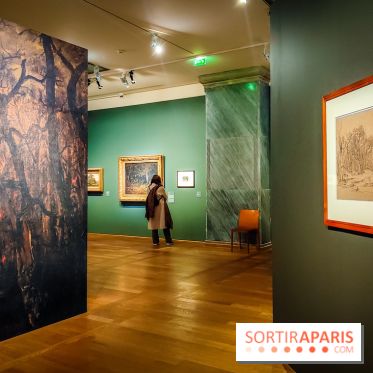 La voix de la forêt : l'exposition qui nous reconnecte avec la nature au Petit Palais - photos - IMG20240304100858