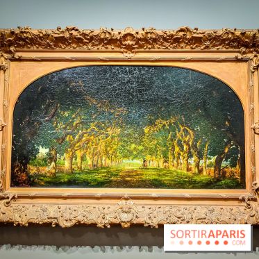 La voix de la forêt : l'exposition qui nous reconnecte avec la nature au Petit Palais - photos - IMG20240304100120