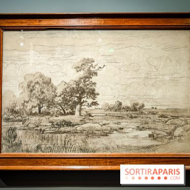 La voix de la forêt : l'exposition qui nous reconnecte avec la nature au Petit Palais - photos - IMG20240304095738