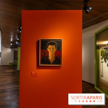 Exposition T'ang Haywen au Musée Guimet à Paris -  A7C8058