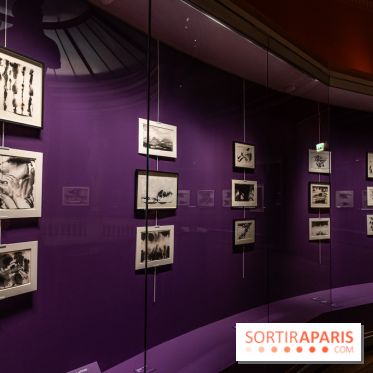 Exposition T'ang Haywen au Musée Guimet à Paris -  A7C8067