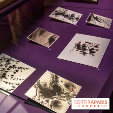 Exposition T'ang Haywen au Musée Guimet à Paris