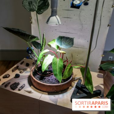 Suivre les ondes, nos photos de l'expo à l'Institut suédois - IMG 2978