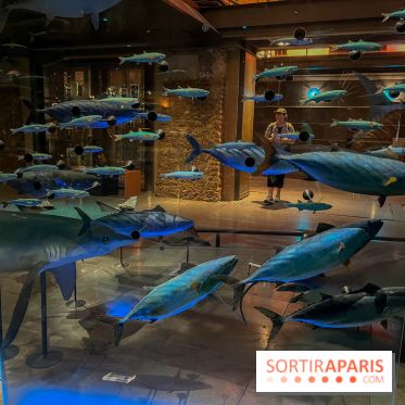 Grande Galerie de l'évolution- visuels 2024 - image00111