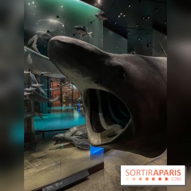 Grande Galerie de l'évolution- visuels 2024 - image00115