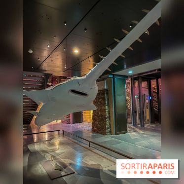 Grande Galerie de l'évolution- visuels 2024 - image00116