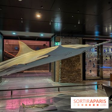 Grande Galerie de l'évolution- visuels 2024 - image00118