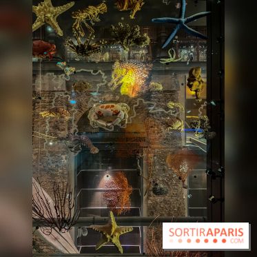 Grande Galerie de l'évolution- visuels 2024 - image00107