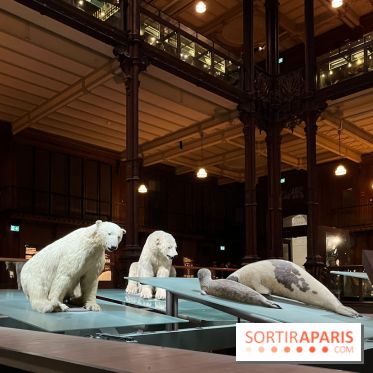 Grande Galerie de l'évolution- visuels 2024 - image00091