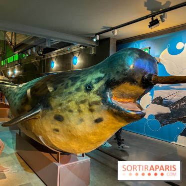 Grande Galerie de l'évolution- visuels 2024 - image00092