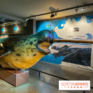 Grande Galerie de l'évolution- visuels 2024 - image00093