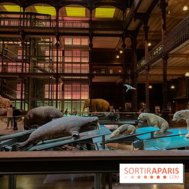 Grande Galerie de l'évolution- visuels 2024 - image00079