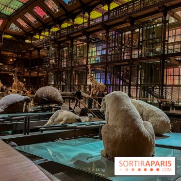 Grande Galerie de l'évolution- visuels 2024 - image00080