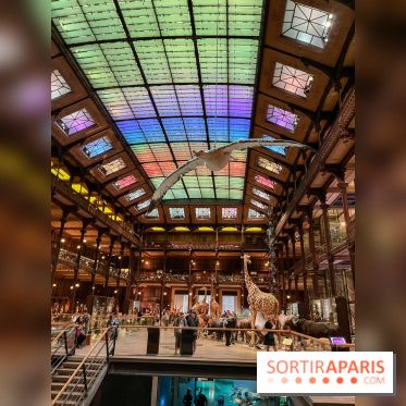 Grande Galerie de l'évolution- visuels 2024