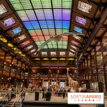 Grande Galerie de l'évolution- visuels 2024