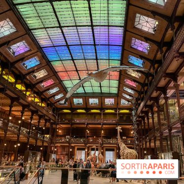 Grande Galerie de l'évolution- visuels 2024
