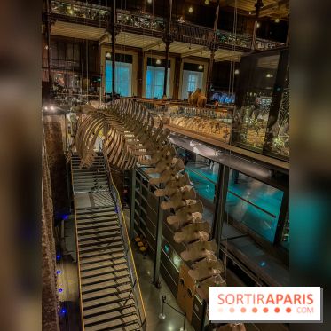 Grande Galerie de l'évolution- visuels 2024