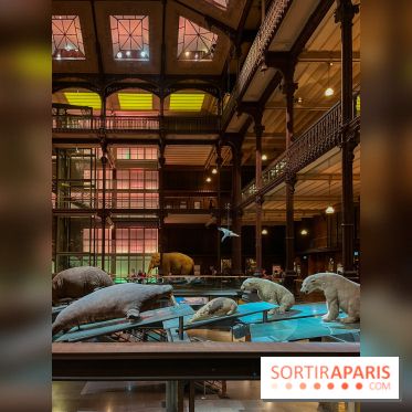 Grande Galerie de l'évolution- visuels 2024 - image00077