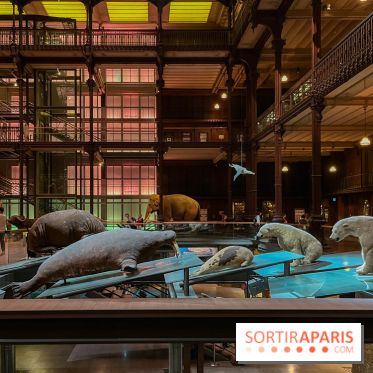 Grande Galerie de l'évolution- visuels 2024 - image00078