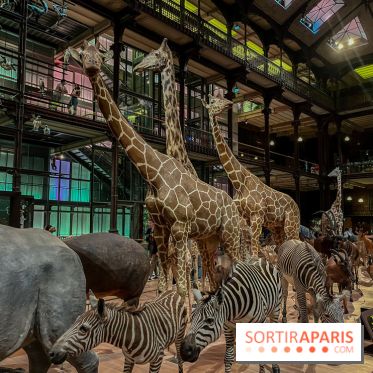 Grande Galerie de l'évolution- visuels 2024 - image00065