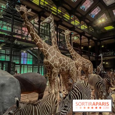 Grande Galerie de l'évolution- visuels 2024 - image00066