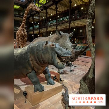 Grande Galerie de l'évolution- visuels 2024 - image00055