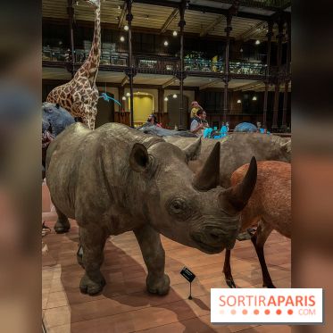 Grande Galerie de l'évolution- visuels 2024 - image00044