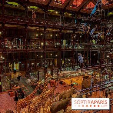 Grande Galerie de l'évolution- visuels 2024 - image00034