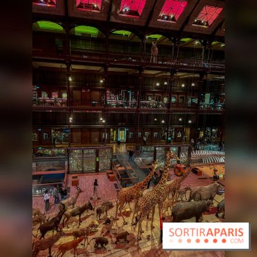 Grande Galerie de l'évolution- visuels 2024