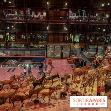 Grande Galerie de l'évolution- visuels 2024 - image00028