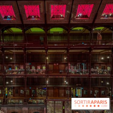 Grande Galerie de l'évolution- visuels 2024 - image00029