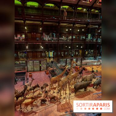 Grande Galerie de l'évolution- visuels 2024 - image00031