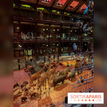 Grande Galerie de l'évolution- visuels 2024