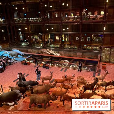 Grande Galerie de l'évolution- visuels 2024 - image00033