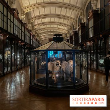 Grande Galerie de l'évolution- visuels 2024 - image00014