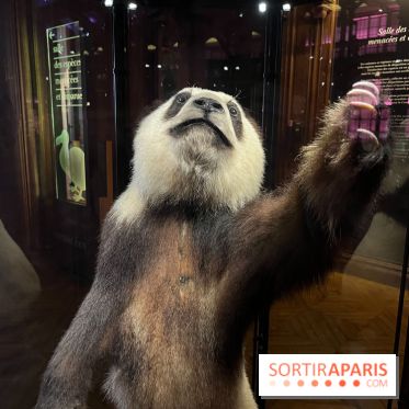 Grande Galerie de l'évolution- visuels 2024 - image00023