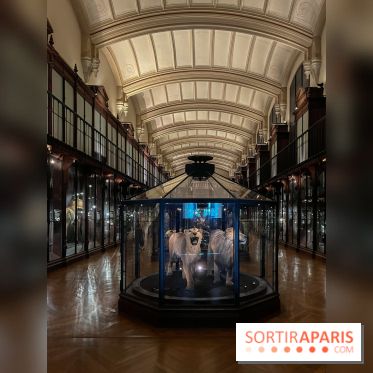 Grande Galerie de l'évolution- visuels 2024 - image00012